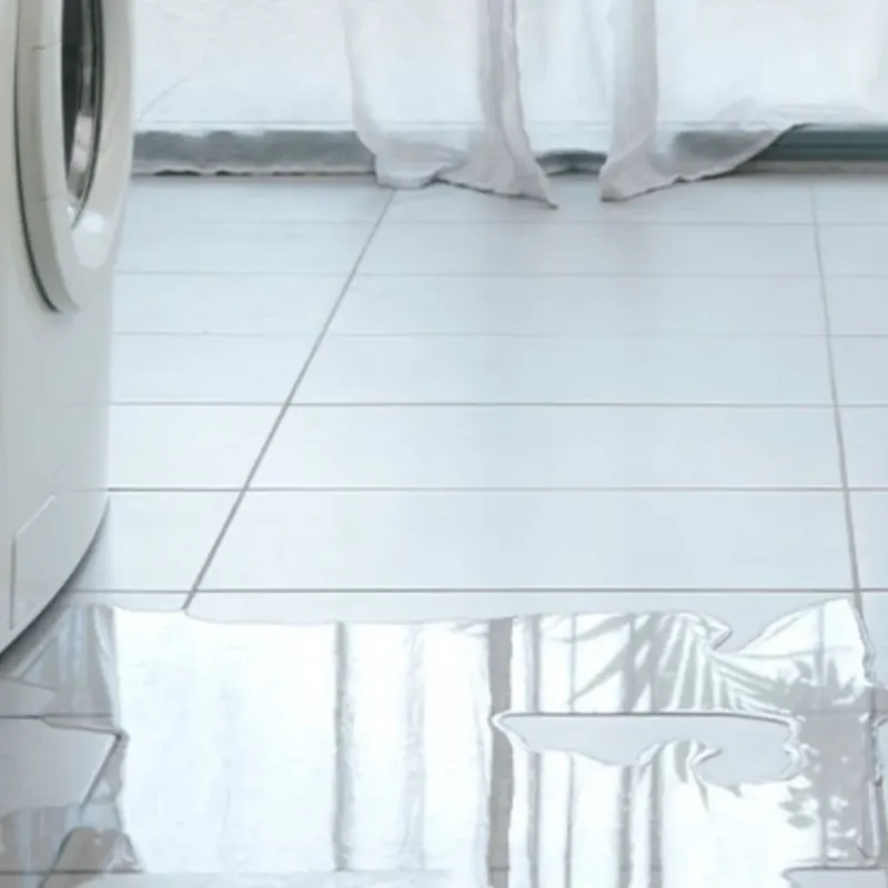 Appliance Leak Cleanup in Dearborn Heights, MI