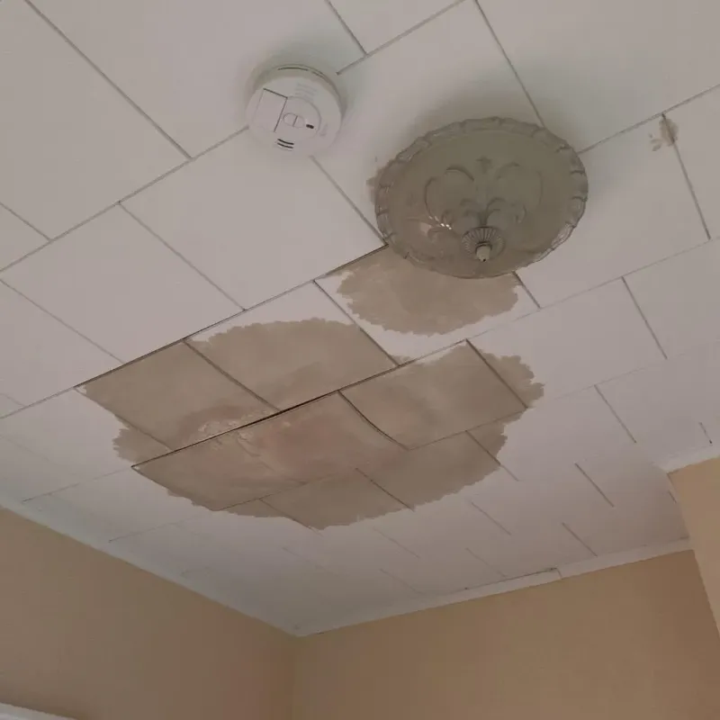 Ceiling Water Damage Repair in Dearborn Heights, MI