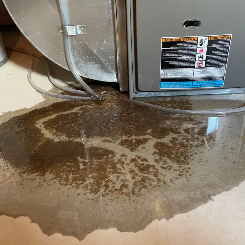 Pipe Burst and Leak Restoration in Dearborn Heights, MI
